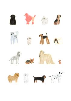 an image of dogs in different colors on a white background with black and red dots