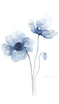 two blue flowers on a white background with watercolor drops in the middle and bottom