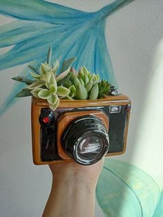 a hand holding a camera with succulents in it