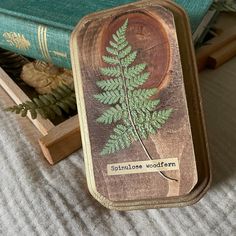 a wooden box sitting on top of a bed next to a green book and some books