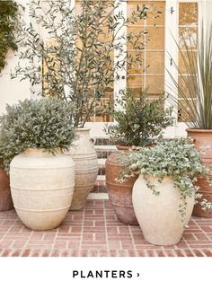 two large planters sitting next to each other on top of a brick floor covered in potted plants