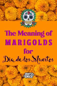 the meaning of mardi gras for dia de los muertos