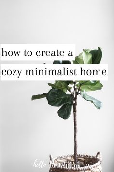 a potted plant with the words how to create a cozy minimalist home