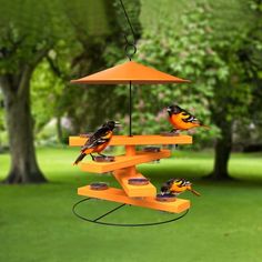 three birds sitting on top of a bird feeder in the grass with trees behind them