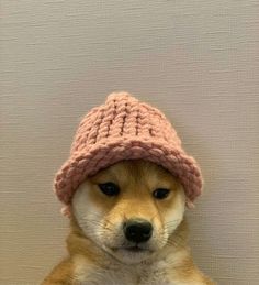 a dog wearing a pink knitted hat sitting on top of a white table next to a wall