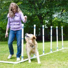 a woman is playing with her dog in the yard while it looks like he's trying to jump over an obstacle