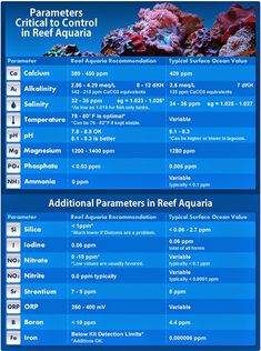 a blue poster with information about coral reefs