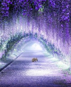 an animal that is standing in the middle of a tunnel with purple flowers on it