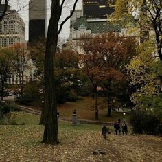 people are walking through the park in front of tall buildings and trees with yellow leaves