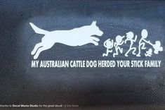 a sticker on the side of a car that says, my australian cattle dog herd your family