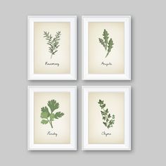 "Kitchen Decor - Kitchen Art. Herbs Art Print. Herb Art. Herbs Decor. Herbs Kitchen Art Print. Kitchen Wall Art. Wall Decor (NS-722) You will receive all four prints in the size you select. Each one will measure the size selected. Please select either \"photo paper\" (Frames not Included) or \"Canvas\". PLEASE READ ★ ★ ★ ★ ★ PHOTO PAPER PRINTS★ ★ ★ ★ ★ All prints are freshly printed on a satin/luster 68 lb. commercial-grade photo paper upon purchase using the highest quality inks, allowing each Greenery Art, Moms Kitchen, Herb Art, Herb Prints, Spring Cottage, Chalk Couture, Trendy Kitchen, Paper Frames, Wall Art Wall