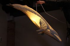 a light that is hanging from the ceiling with a fish shaped lamp in front of it