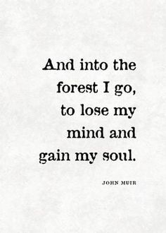 Writing Quotes Aesthetic, Classic Literature Quotes Aesthetic, Simple Deep Quotes, Best Literary Quotes, Into The Forest I Go, Into The Forest, Poetry Art