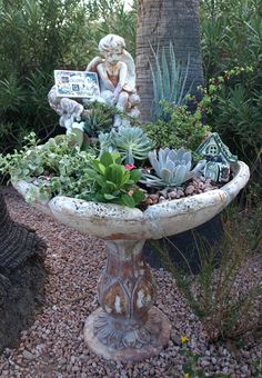 a garden filled with lots of succulents and plants