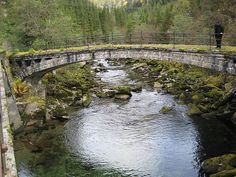 a man standing on a bridge over a river