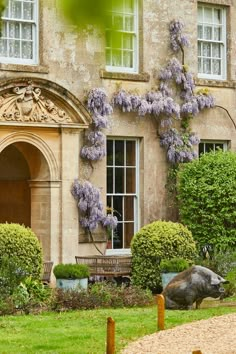 an old building with purple flowers growing on it's walls and windows, in front of a green lawn