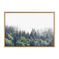 an image of trees in the fog on a white background with a wooden framed frame