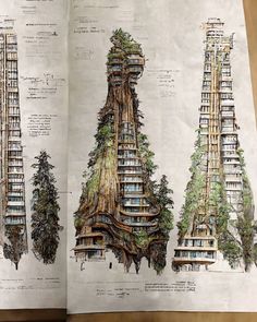 an open book with drawings of trees and buildings on the pages is shown in this image