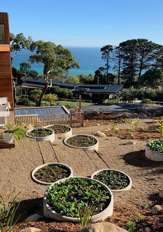 several planters with plants in them on the ground