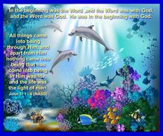 dolphins swimming in the ocean surrounded by corals and other marine life, with words written below