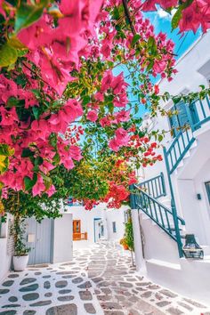 an alley way with pink flowers on the trees and white buildings in the back ground