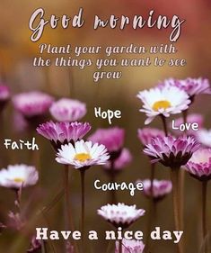 flowers with the words good morning written in different languages on them, and an image of dai