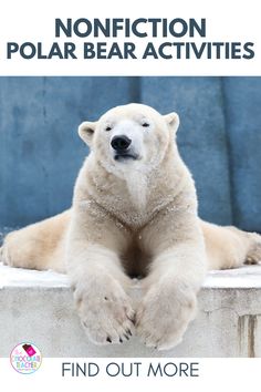 a polar bear sitting on top of a cement block with the caption, find out more