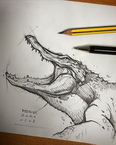 a pencil drawing of an alligator's head