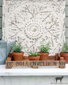 some potted plants are sitting on a shelf in front of a wall with a stencil