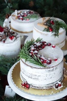 there are three cakes on the plate with pine cones and berries around them, all decorated in white frosting