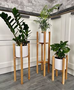 three potted plants are sitting on wooden stands