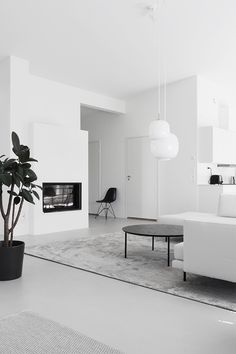 a living room with white furniture and a large potted plant in the middle of the room