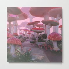 a group of mushrooms that are on the side of a road with pink sky in the background