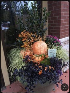 a planter filled with lots of different types of flowers