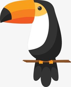 a toucan sitting on top of a tree branch with an orange beak and black legs