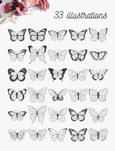 an image of butterflies and flowers with the words, 33 illustrations on it in black ink