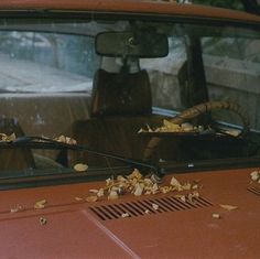 an old car with leaves on the windshield