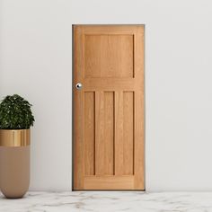 a potted plant sitting next to a wooden door on a white wall with marble flooring