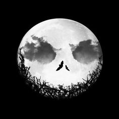 two birds flying in front of a full moon