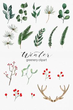 watercolor greenery clipart set with red berries and green leaves on white background