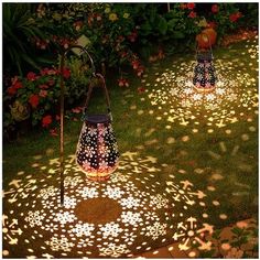 two lit up lanterns sitting on top of a grass covered field with flowers in the background