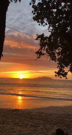 the sun is setting over the ocean with trees on the beach and people in the water