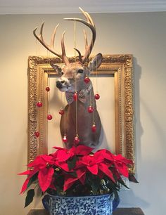 a deer head mounted to the side of a wall next to a potted plant