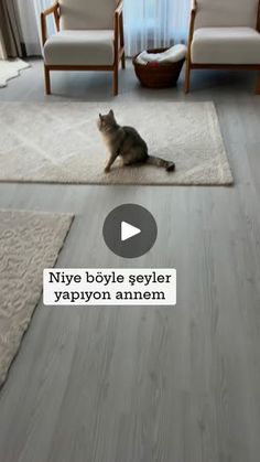 a cat sitting on top of a rug in a living room