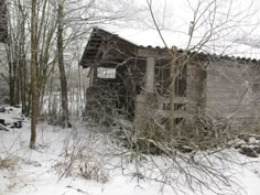 an old run down building in the woods covered with snow and branches that have no leaves on them