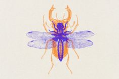 a drawing of a bug with orange and blue colors on it's back legs