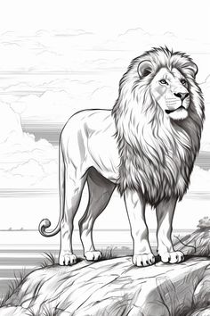 a black and white drawing of a lion standing on top of a hill with clouds in the background