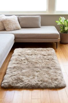 a white couch sitting next to a window in a living room under a large rug on top of a hard wood floor