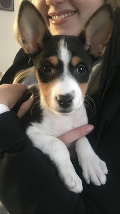 a woman is holding a small dog in her arms and smiling at the camera while wearing a black jacket