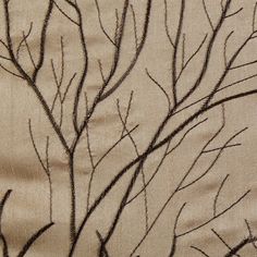 the branches of a tree with no leaves are shown in black ink on a beige background